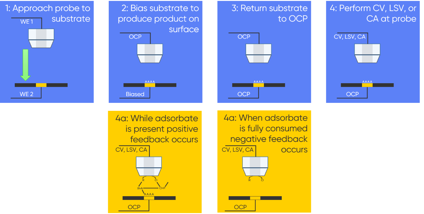 : The steps involved in an SI-SECM experiment are outlined.
