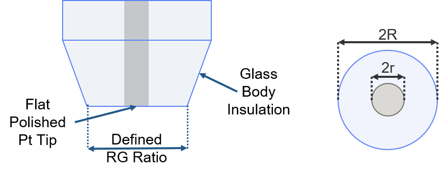Schematic of secm probe